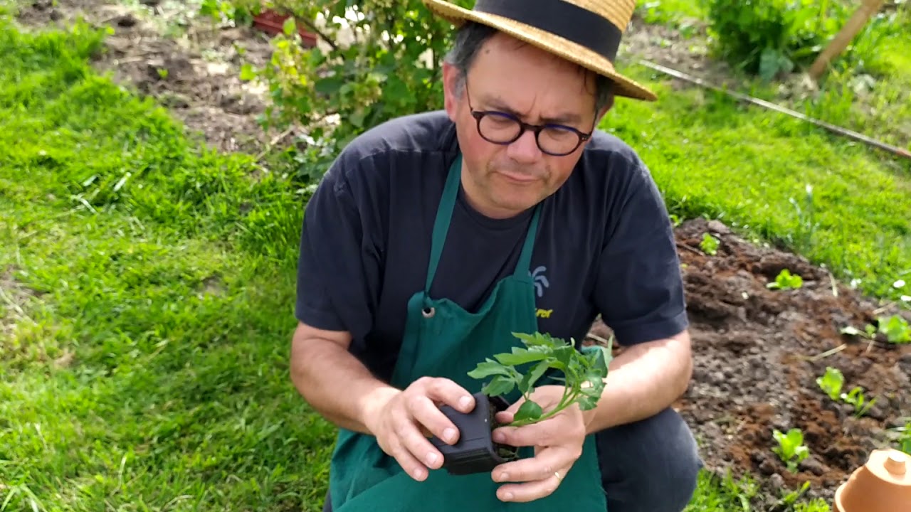 Comment bien arroser ni trop ni trop peu ? Calculer la bonne dose,c'est la plante qui décide seule!!