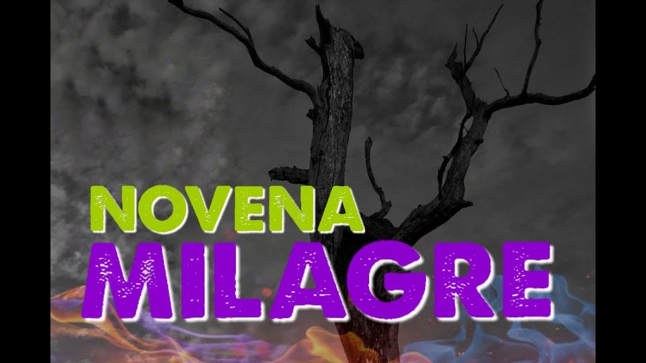 NOVENA MILAGRE