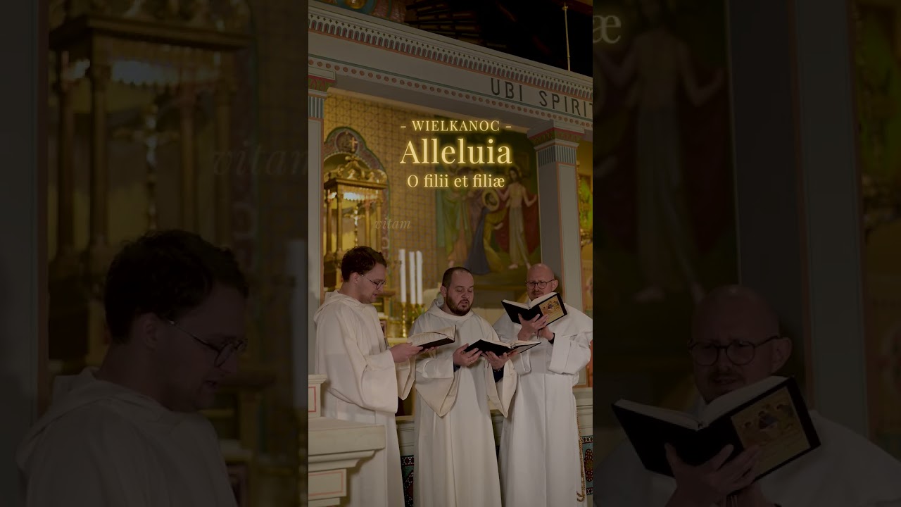 Nowe rolki DOLu: O filii et filiae