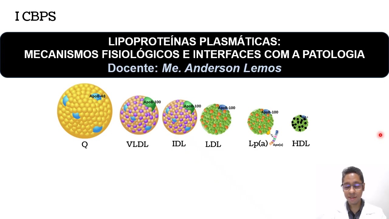 Metabolismo das Lipoproteínas Plasmáticas e suas Interfaces com a Patologia