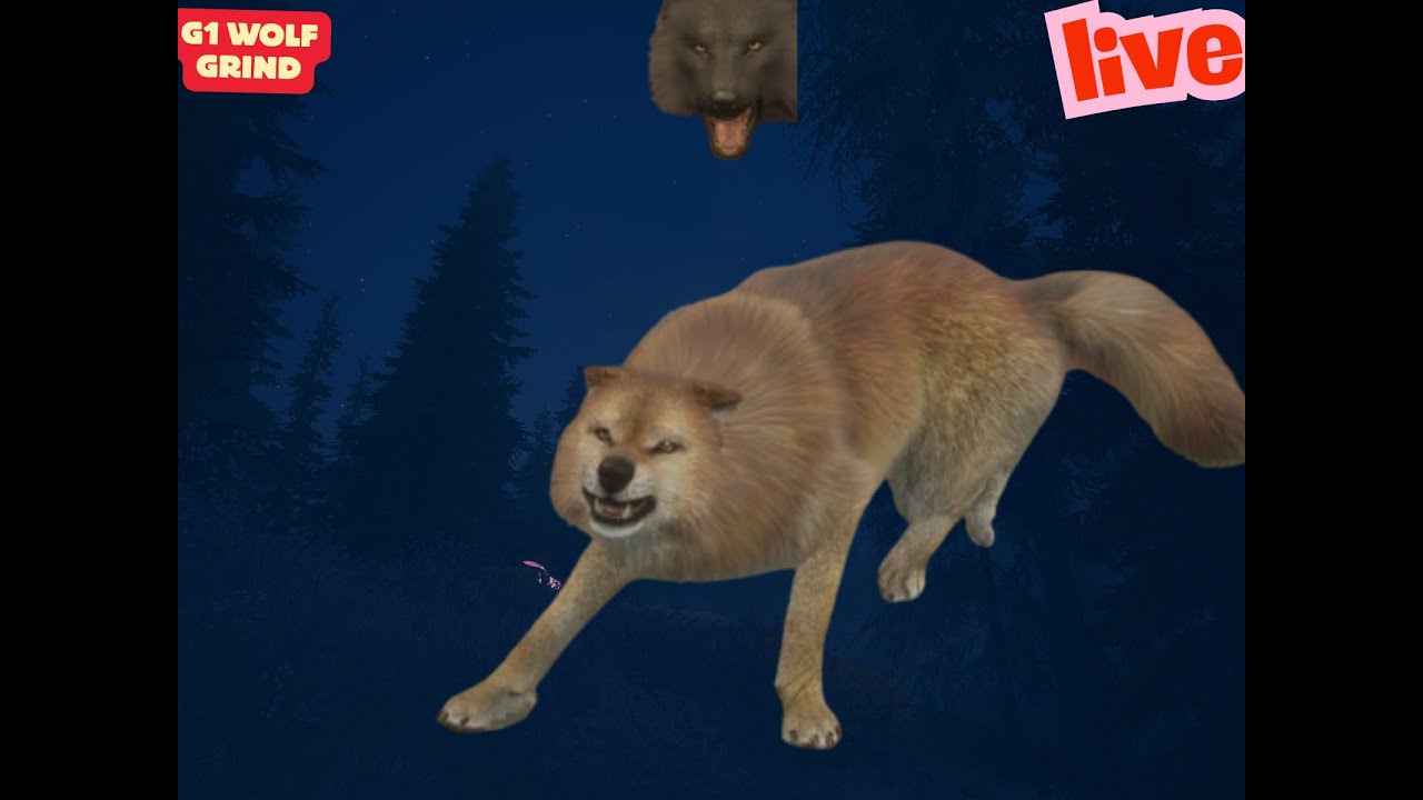 trying to get crazy rares and grinding wolfs