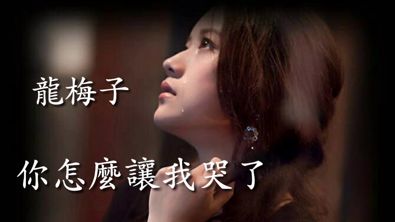 《你怎么讓我哭了》 演唱 : 龙梅子
