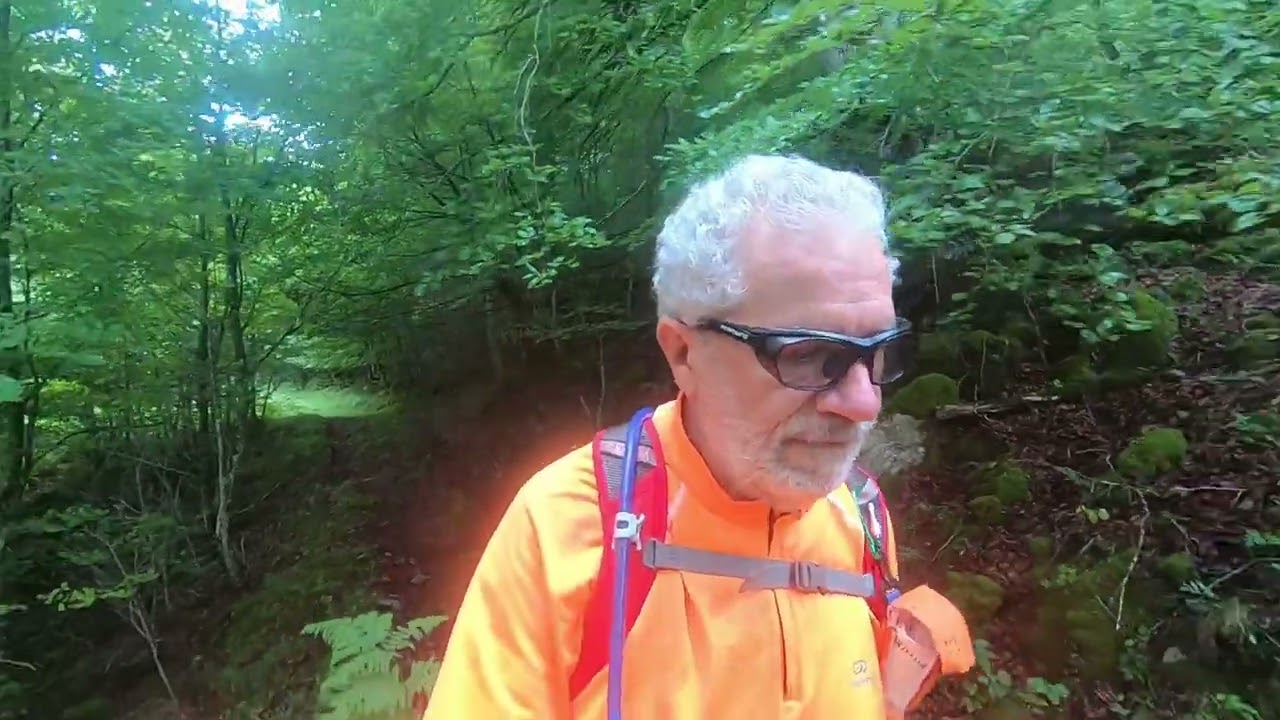 Selva de Irati. Ruta  SL NA 57B más SL NA 58B Subida al pico Mendilatz.