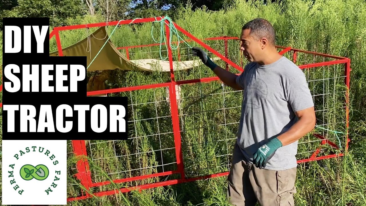 REVIEW: Our Mobile Sheep Tractor!!