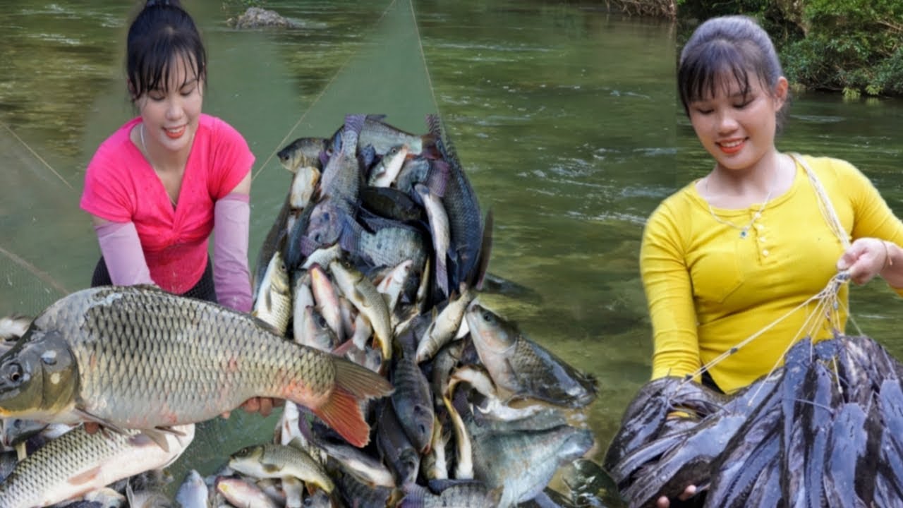 Fishing, Fish traps using self-woven brocade blades combined with bamboo to catch giant fish