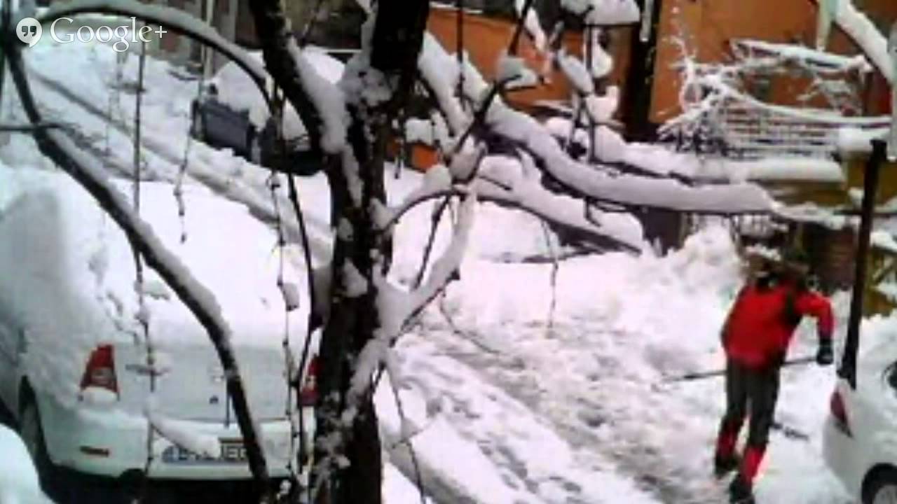 live snow webcam