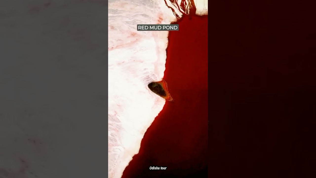 I Love My 