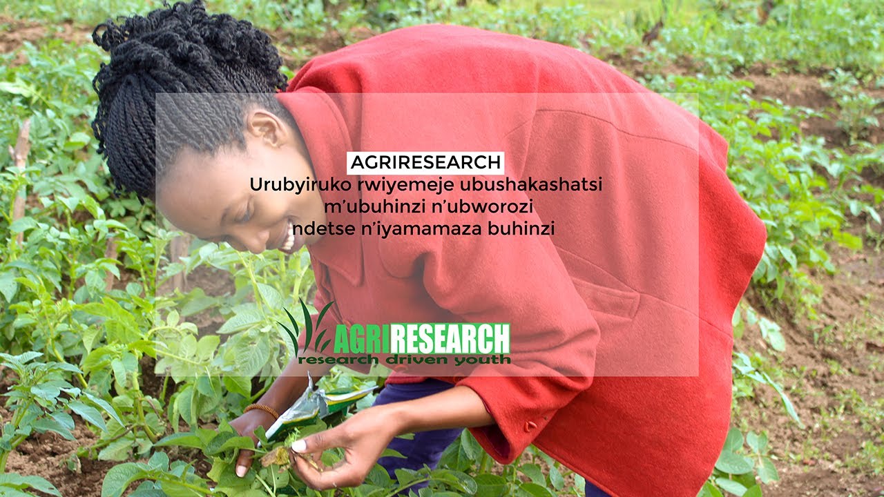 AGRIRESEARCH yaziye igihe ІІ Abandi bansuraga gake ІІ Ubuhamya bwa RAFIKI Jean de Dieu