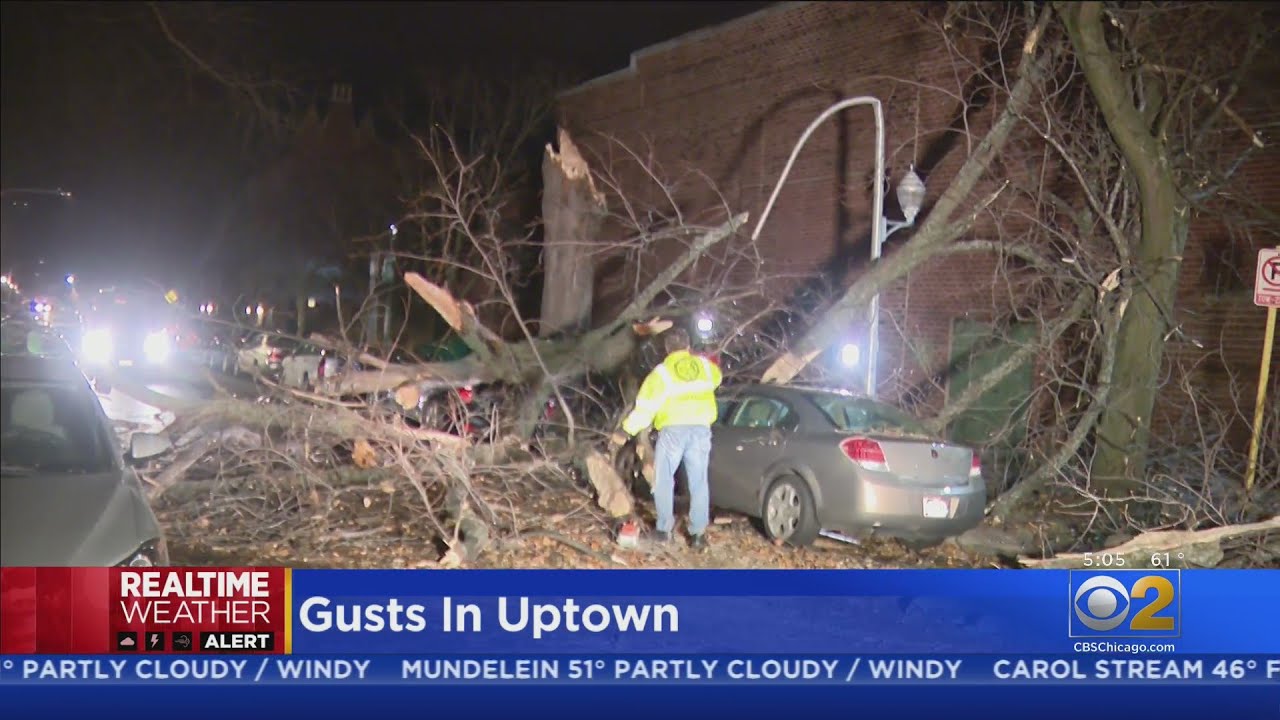 High Winds Lead To Downed Trees, Damaged Cars Throughout The Chicago Area
