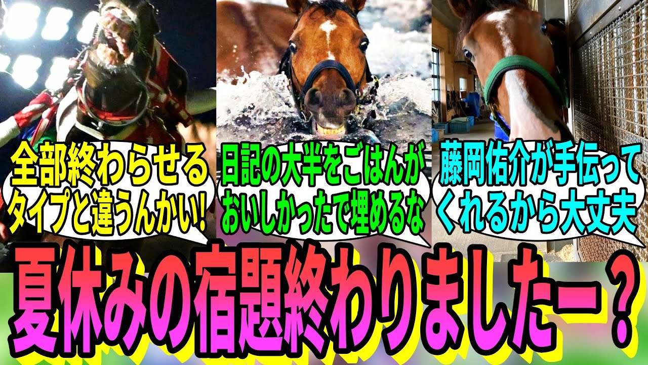 【競馬の反応集】「競走馬たちの夏休みの宿題事情」に対する視聴者の反応集
