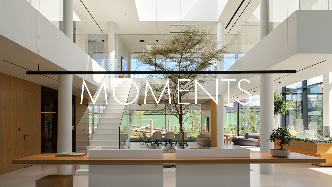 Modern office design: a glass cube with living tree inside