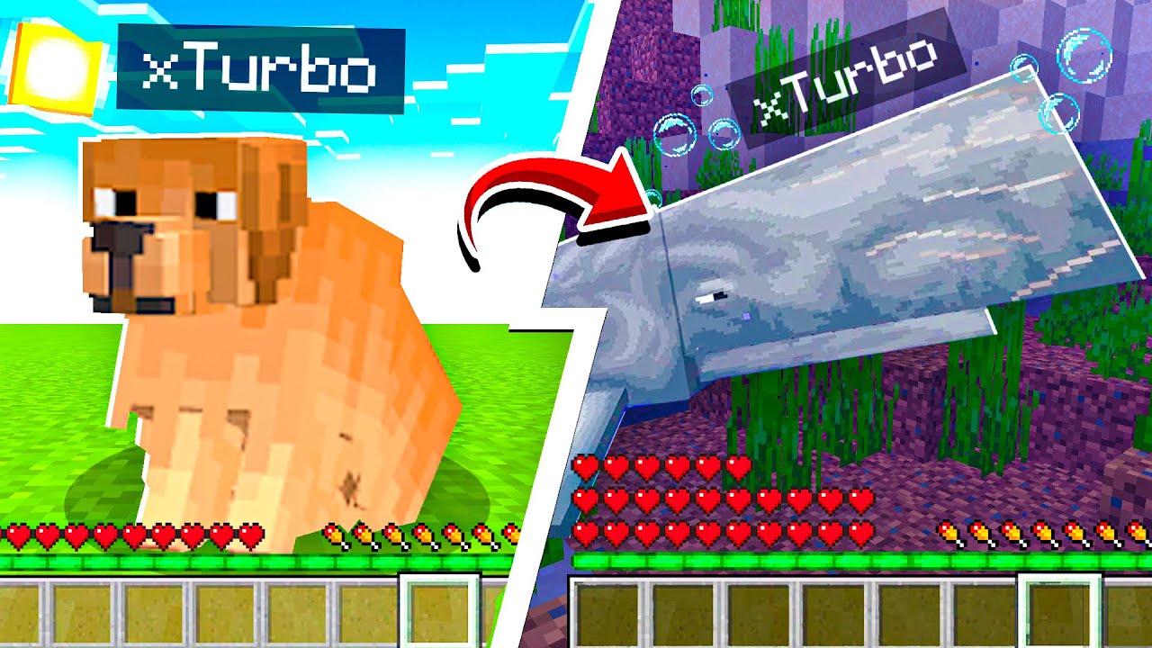 Nos Transformamos Cada Minuto en Animales en Minecraft!