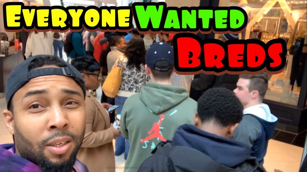 JORDAN 11 BRED PLAYOFF & YEEZY Pick Up Vlog | RESELLERS KICKED OUT OF LINE!