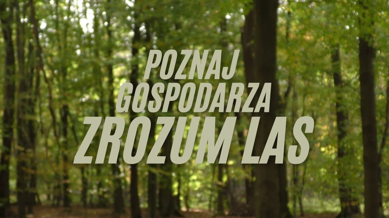 Zrozum las w Nadleśnictwie Niepołomice