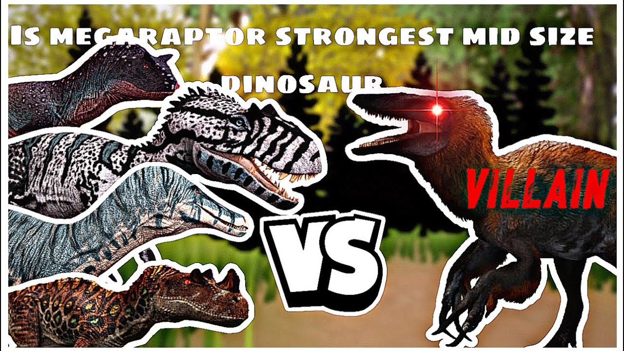 🌟MEGARAPTOR VS SUCHOMIMUS,ALLOSAURUS,CERATOSAURUS,CARNOTAURUS COMPARSION (CURSED ISLE)