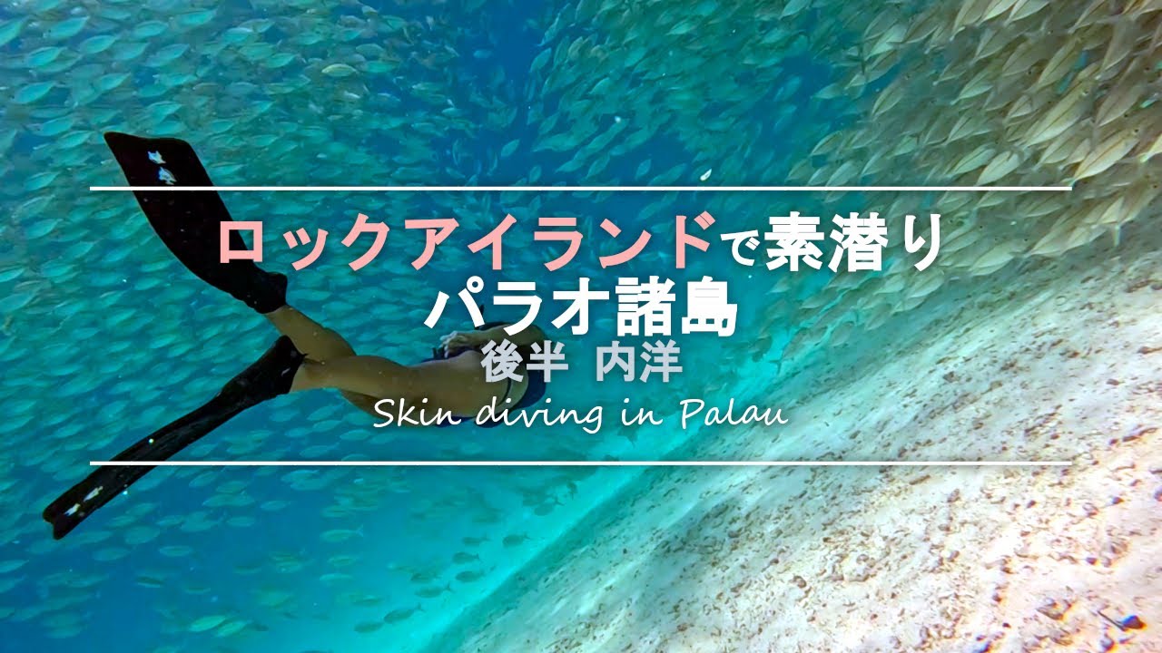 スキンダイビング パラオ諸島 - 47