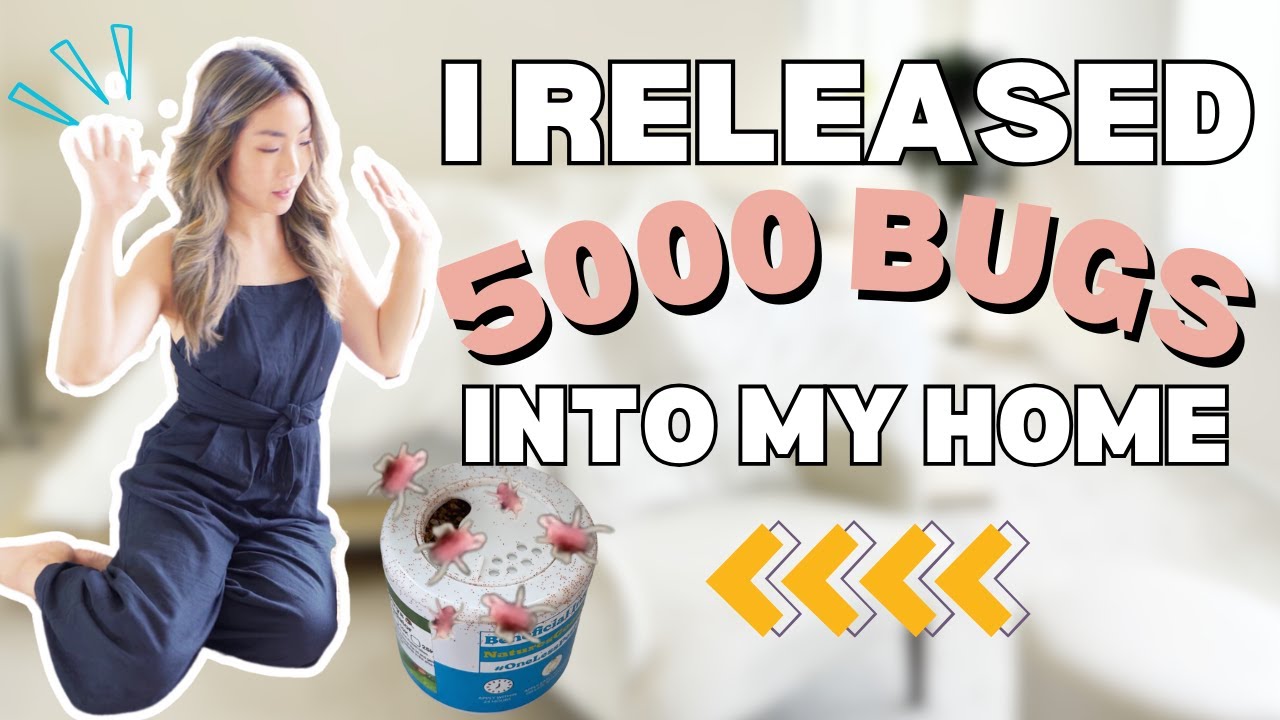What Happened When I Released 5000 BUGS Into My Home | Beneficial Insects | Houseplant Chores + Tips
