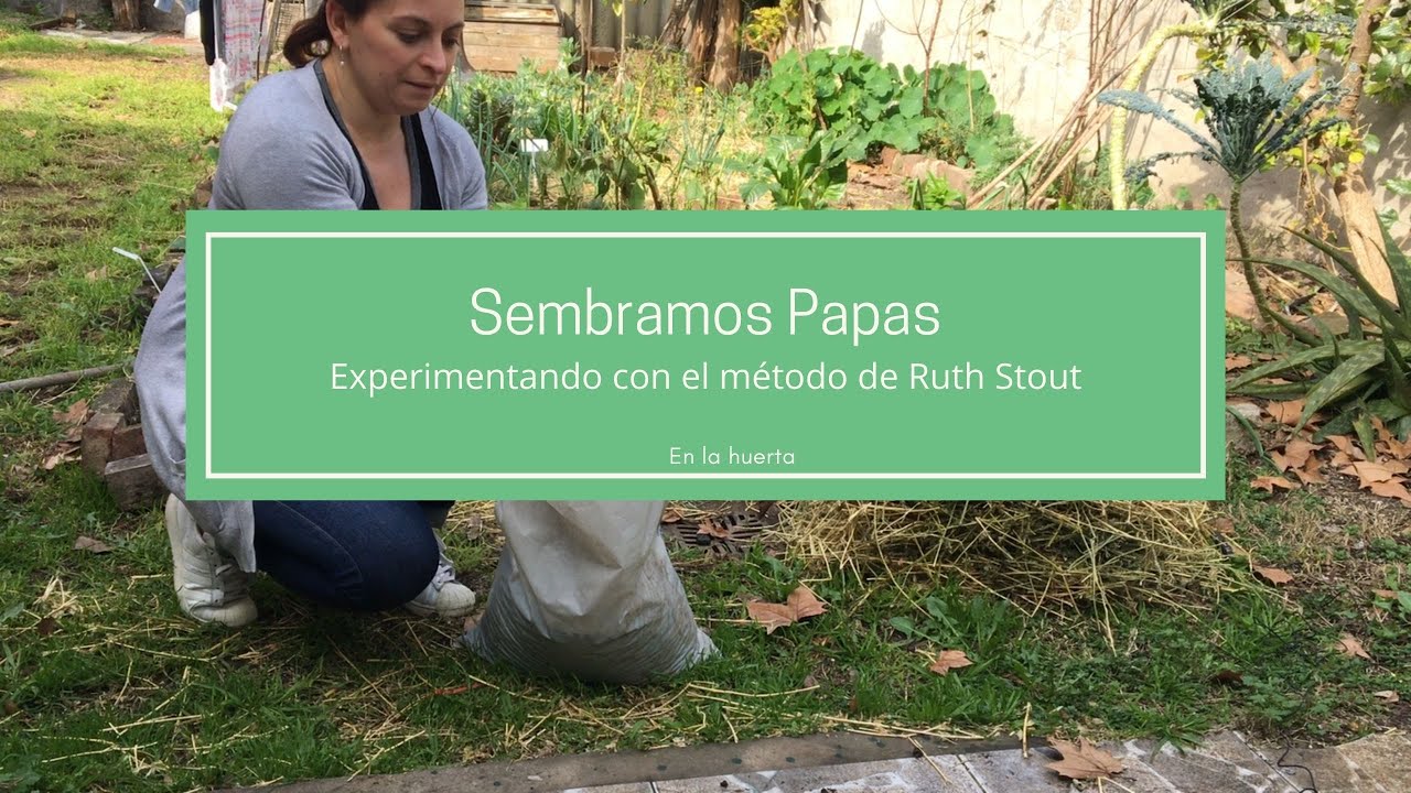 Sembramos papas🥔🥔| Experimentando con el método de Ruth Stout | En la huerta