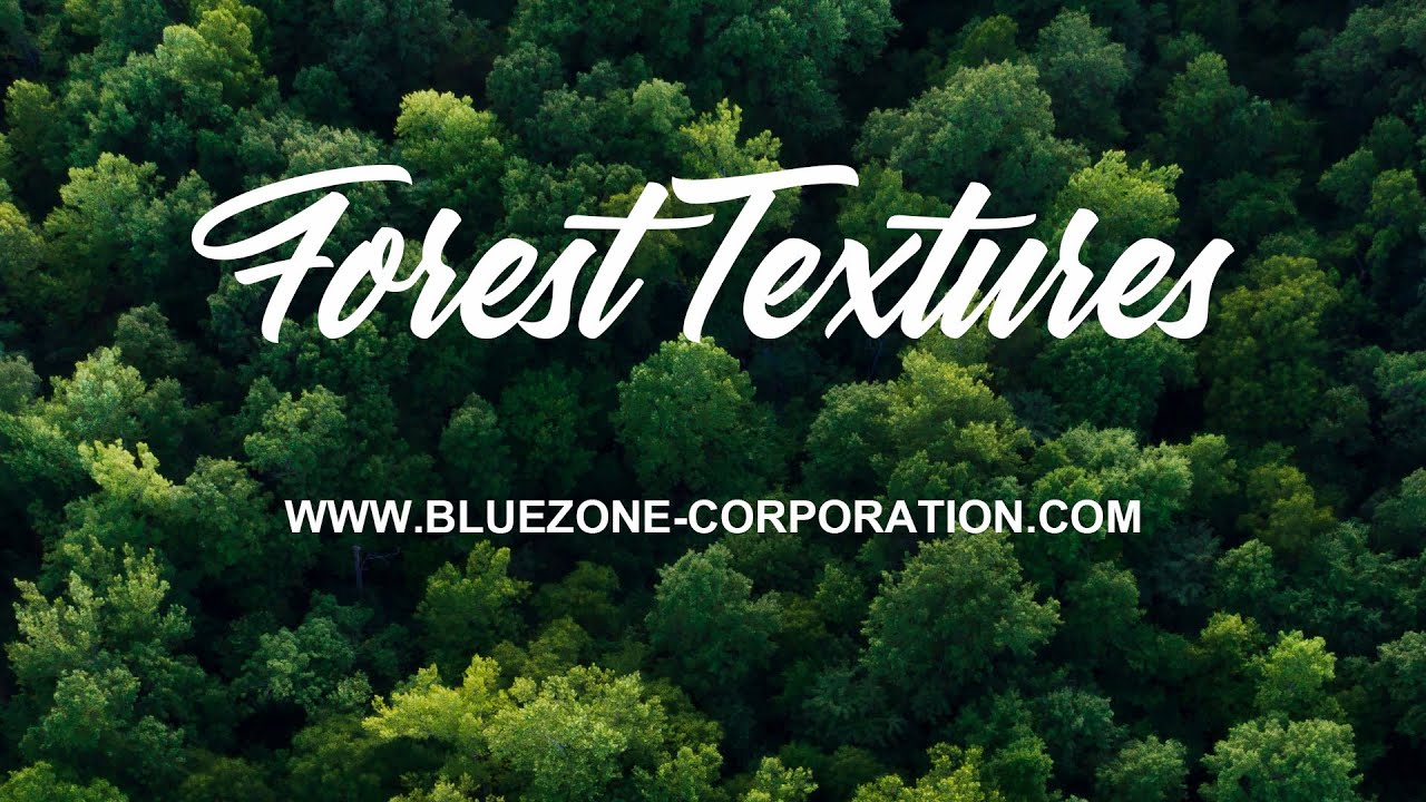 Forest Textures - Wood Sound Effects - Broken Wood Sounds - Cracking Wood Sounds - Wood Impacts
