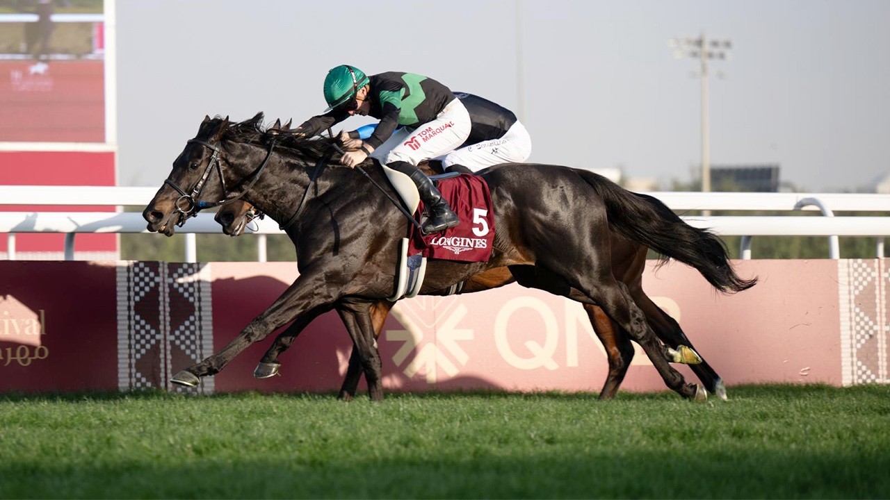 RM 51  Al Rayyan Race 3 -  H.H. The Amir Sword Festival - Day 4