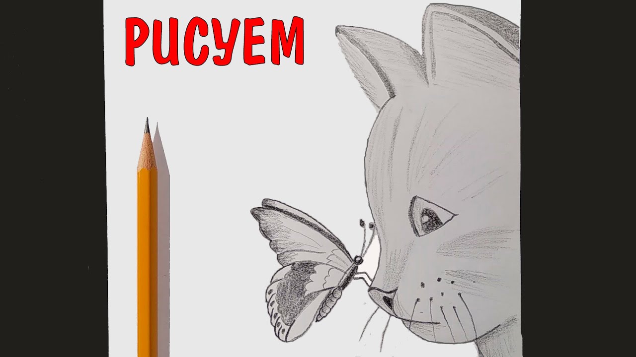 Как нарисовать КОТА И БАБОЧКУ, Скетч карандашом для начинающих