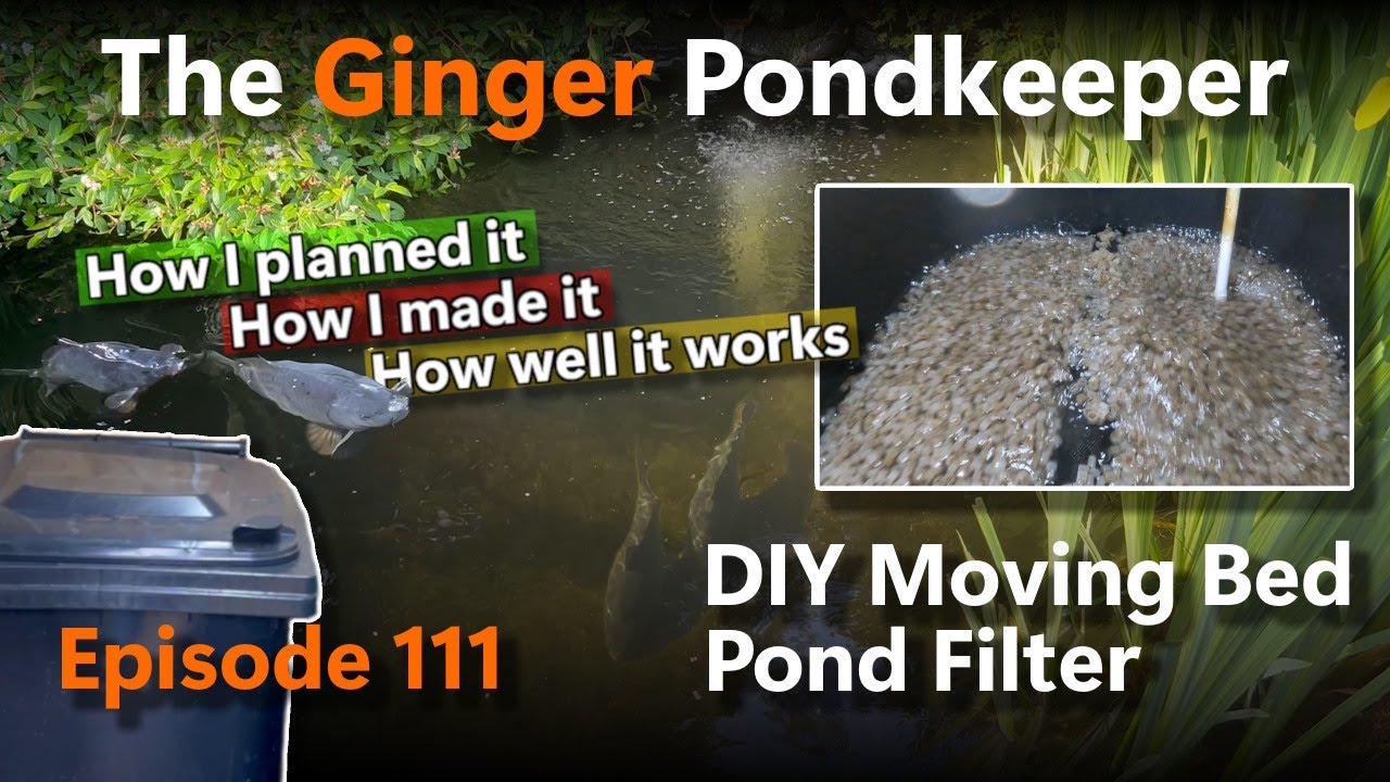 Episode 111: DIY Moving Bed Pond Filter | How I planned it | How I made it | How well it works