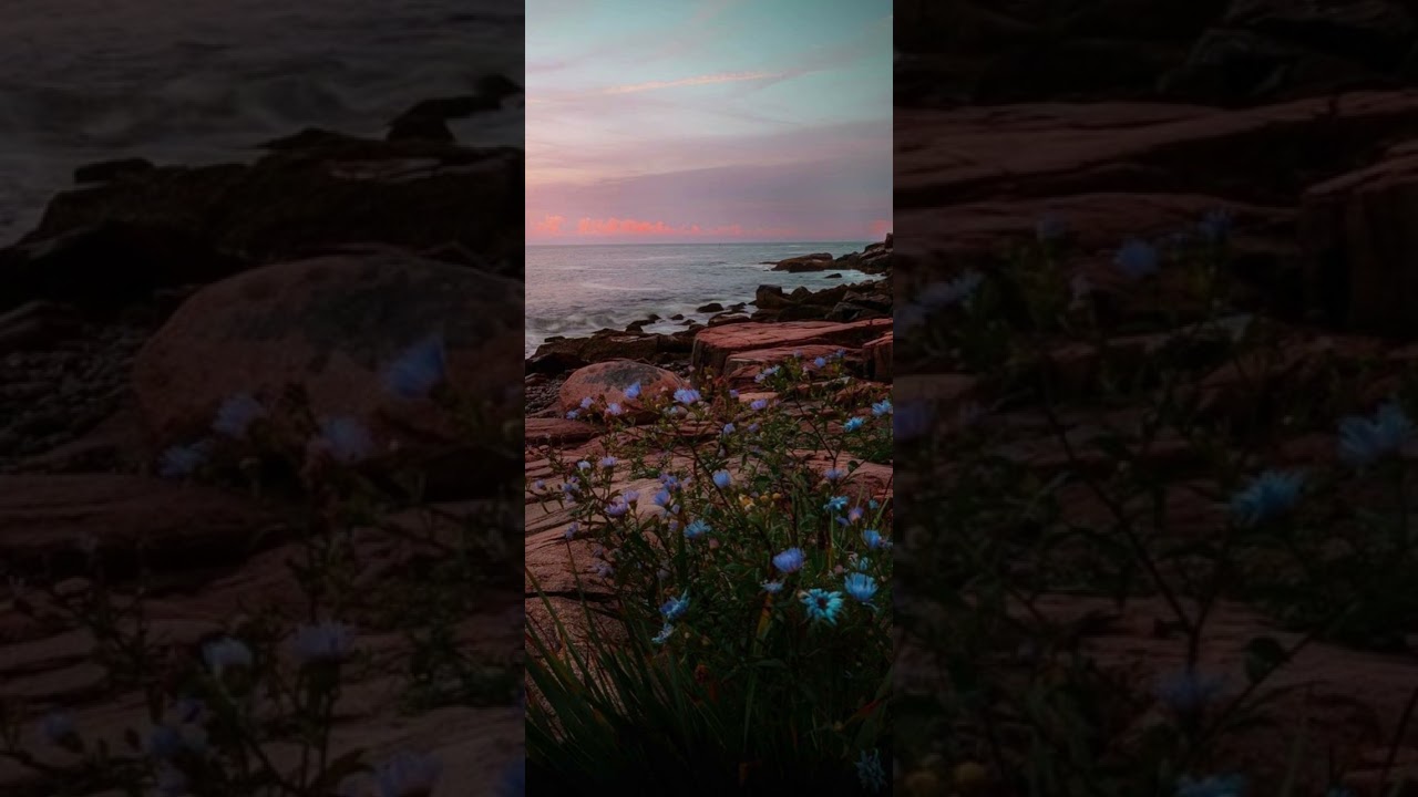 CHVRCHES - Recover (Slowed ♡ Reverb)