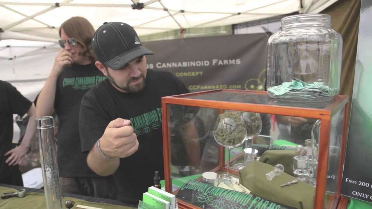 2013 Seattle US Cannabis Cup -- Day One