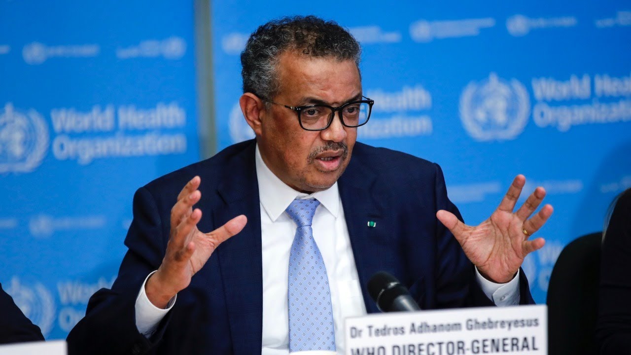 WATCH: World Health Organization delivers update on coronavirus in Geneva