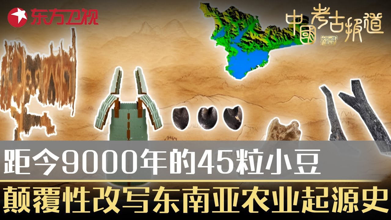 距今9000年前的45粒小豆曝出惊天秘密！颠覆性改写东南亚农业起源史！#中国考古报道 FULL