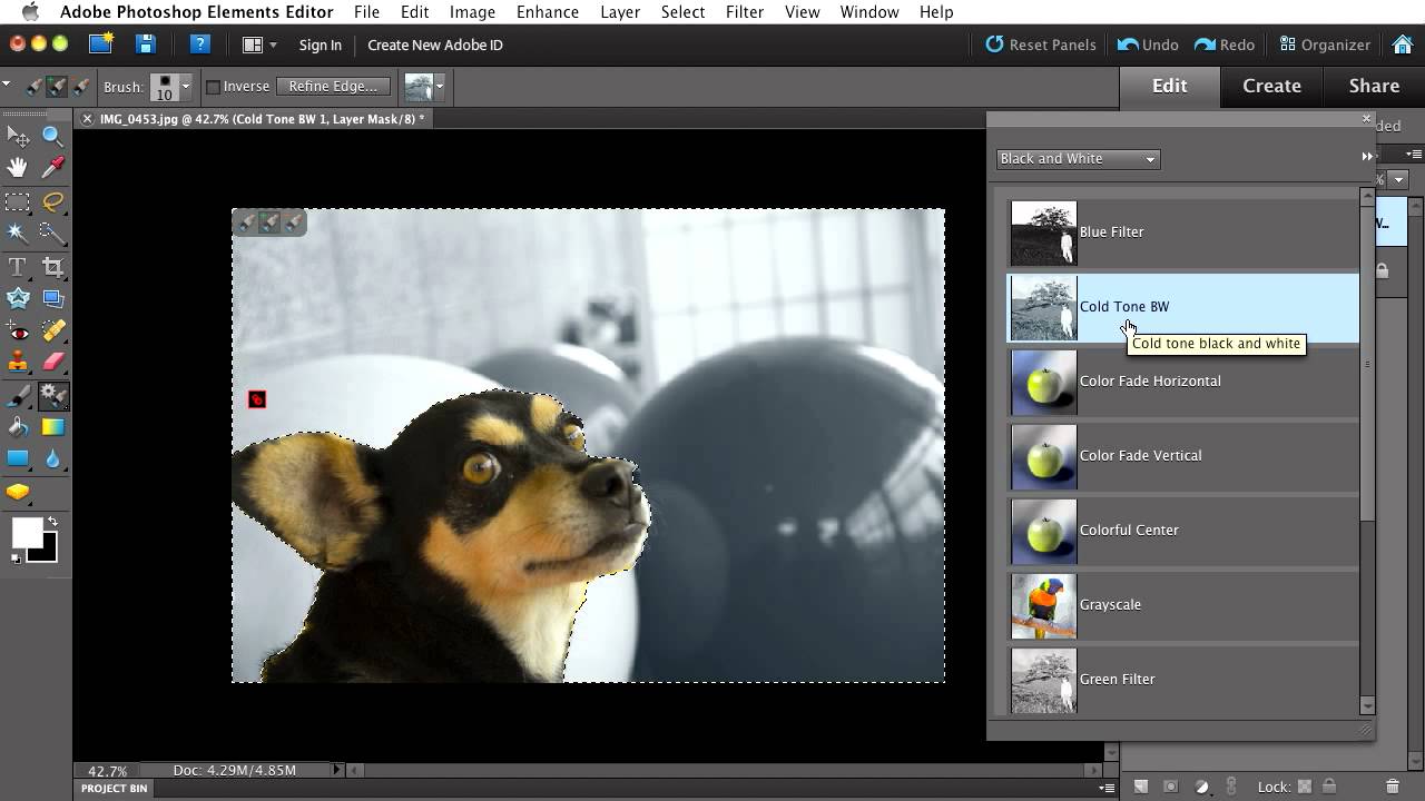 Adding Splashes of Color to Black and White Photos with Photoshop Elements 10
