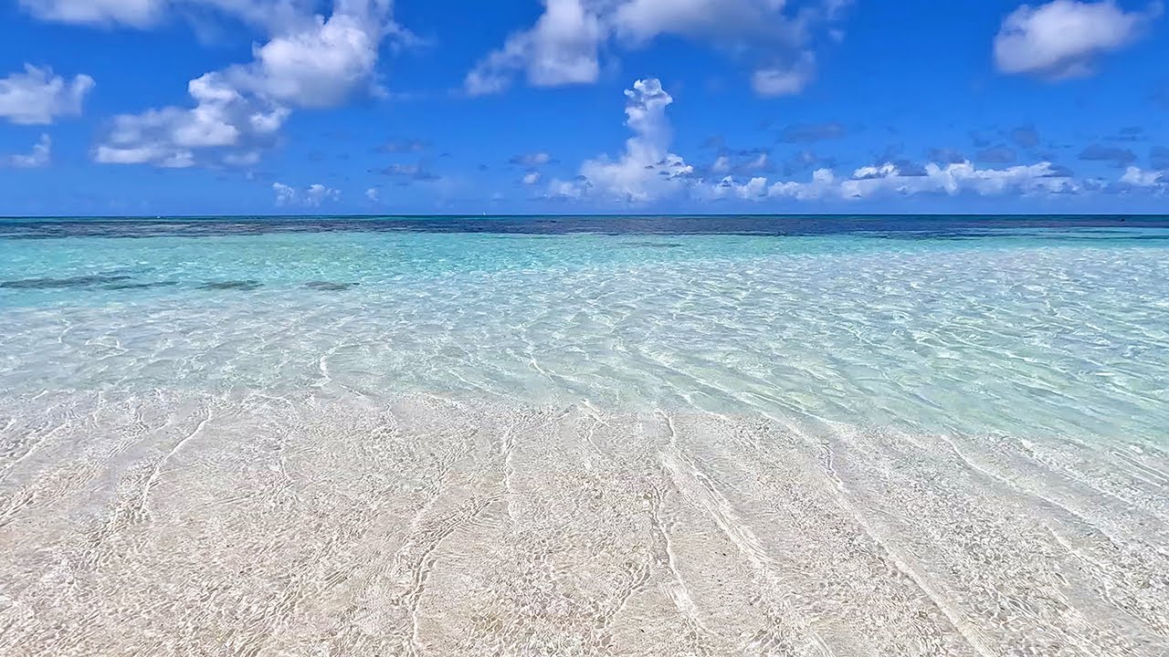 Sleep & Study to The Sound of Soothing Island Waves