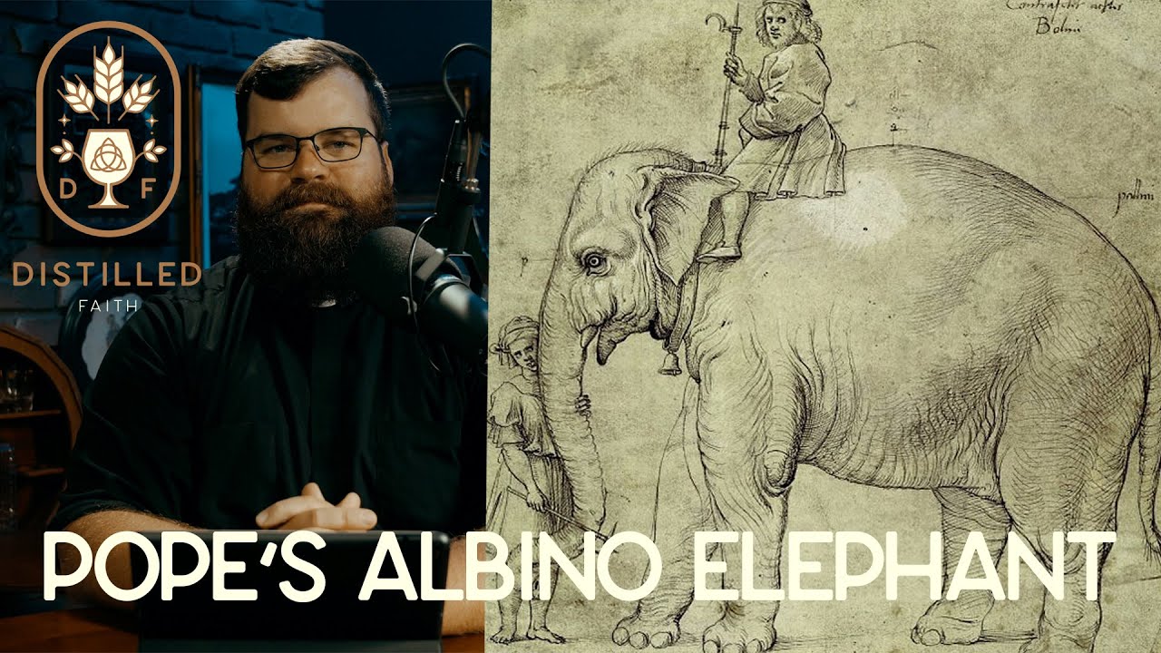 Hanno, the Pope's Albino Elephant // Distilled Faith