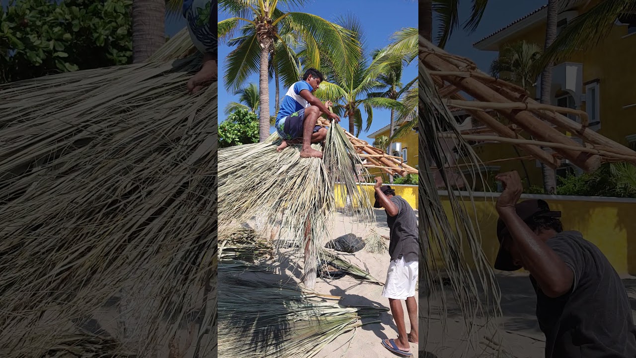 Como hacer una palapa.
