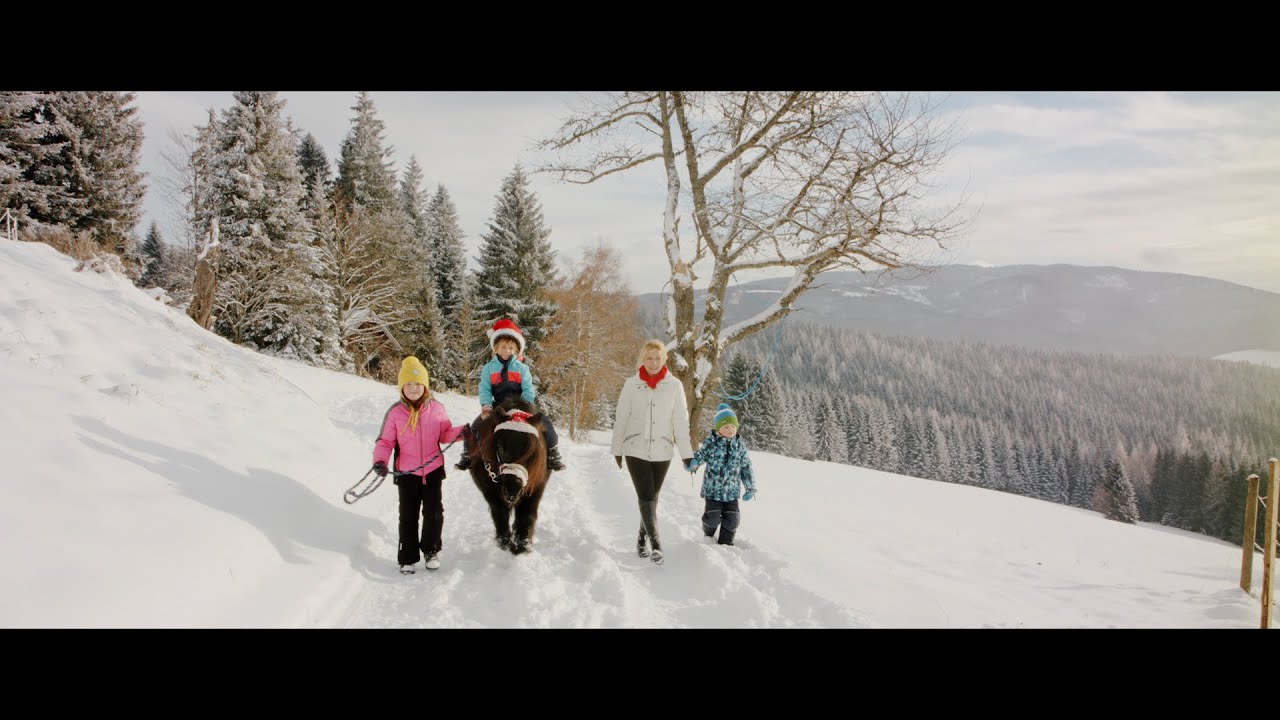 Winter Wonderland - Winter Wunderland - Deutsche Version des Weihnachtssongs von Iva Schell