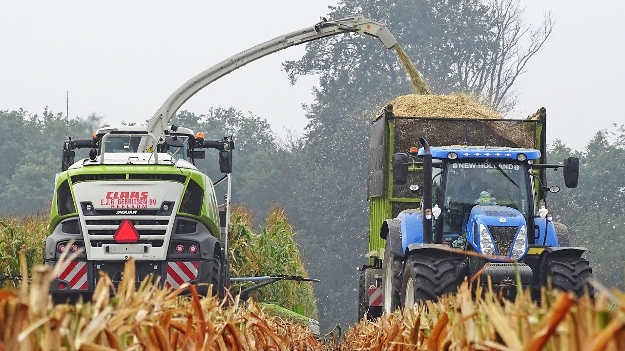 Mais Silage with Claas Jaguar 940 + Fendt + New Holland | Gerritsen | 2020
