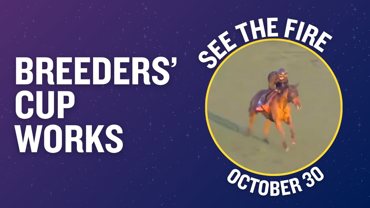 SEE THE FIRE Gallops at Del Mar October 30th