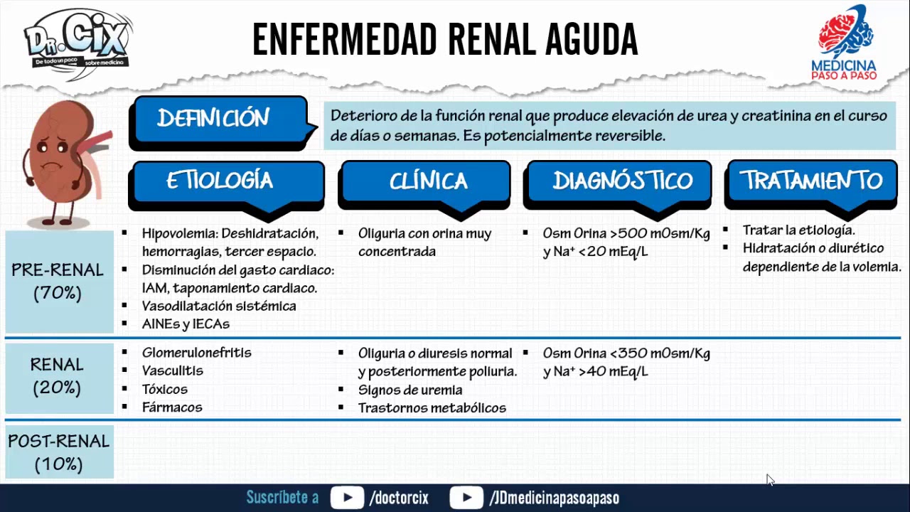 Insuficiencia renal aguda y cr&oacute;nica. GENERALIDADES ft. Doctor Cix