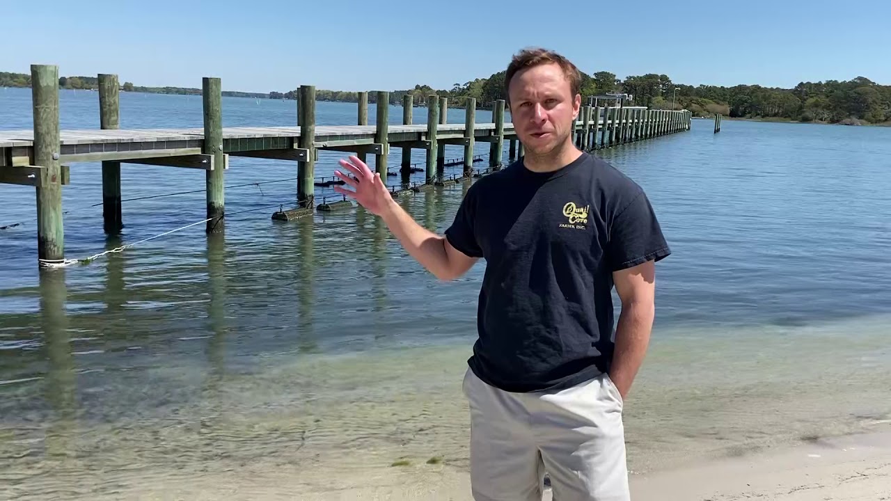 Farming Oysters with an Adjustable Longline