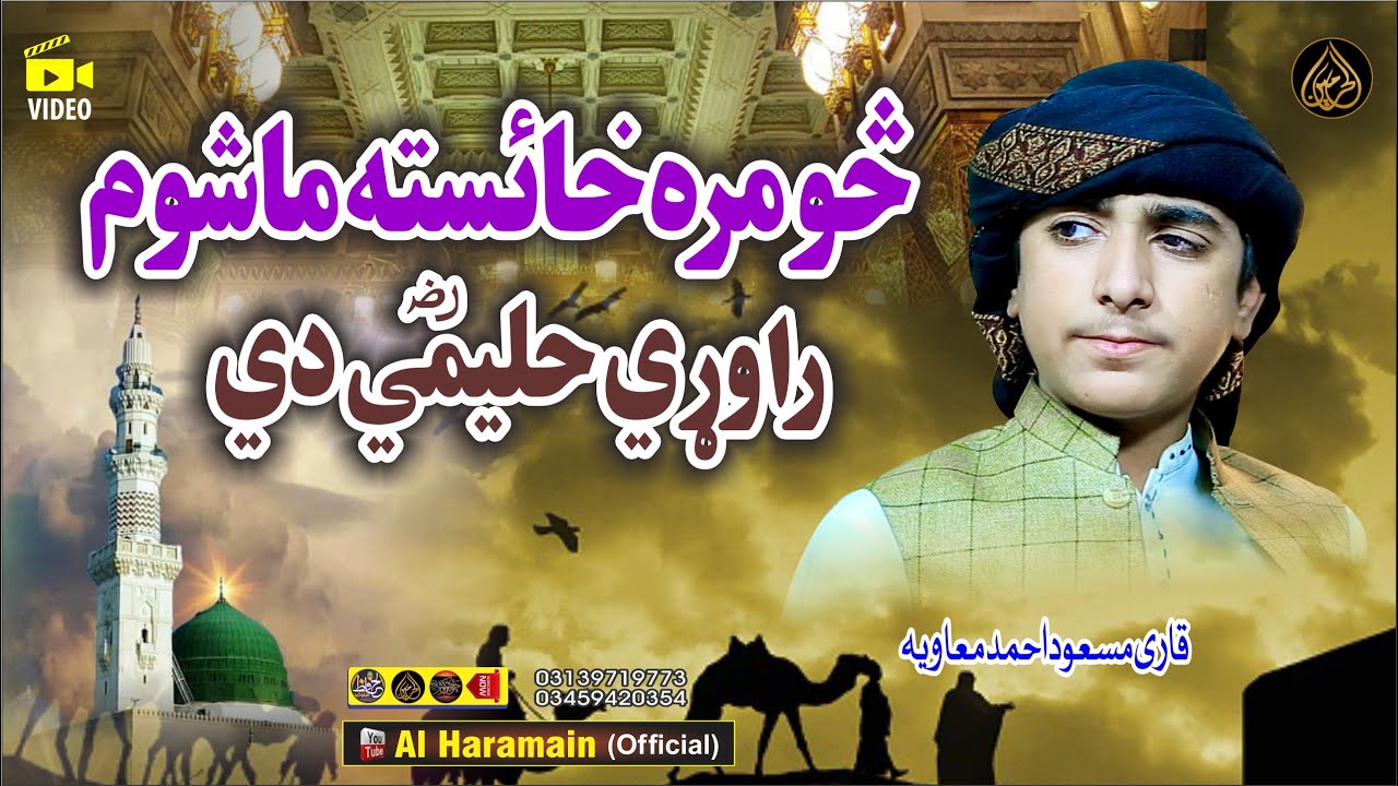 Hafiz Masaud Ahmad || Pashto HD 2024 Best Naat ||سومرہ خائستہ ماشوم