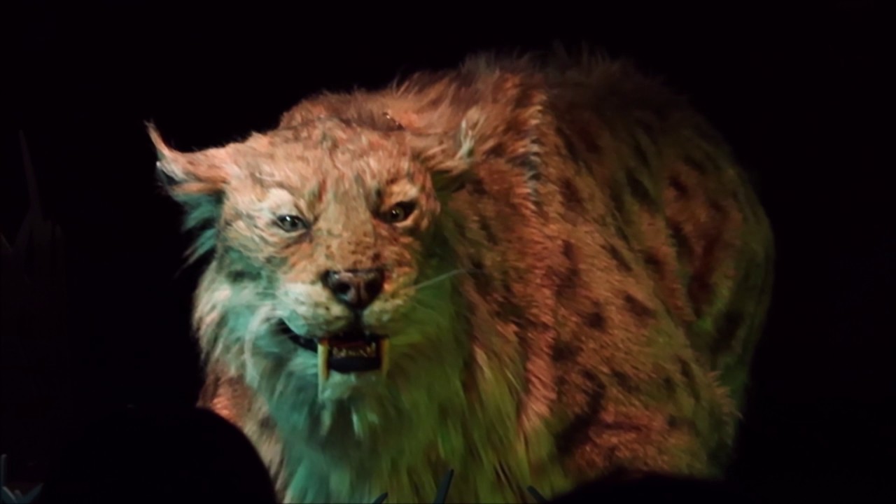 Ice Age Encounters Show with Saber-Toothed Cat