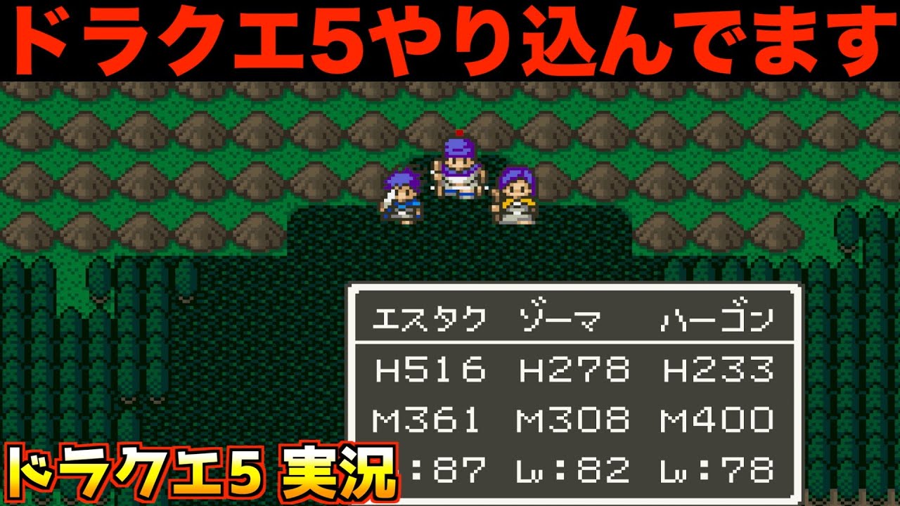 レベル87。ここまでして狙うものは？【ドラクエ5 実況074】