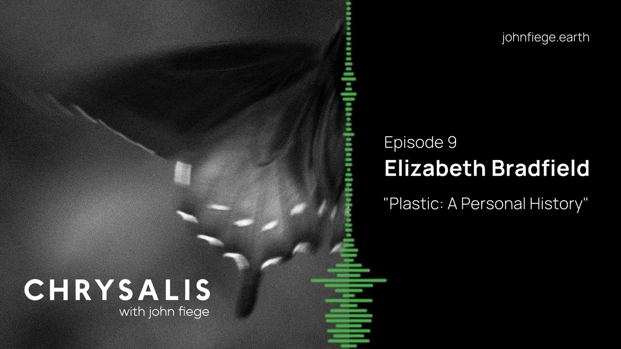 9. Elizabeth Bradfield — 