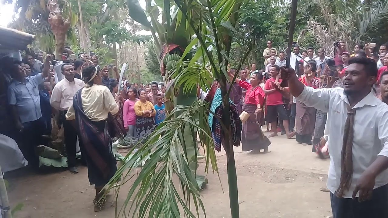 Soka Roa Mu'u Wua di Kloangpopot 26 Oktober 2018