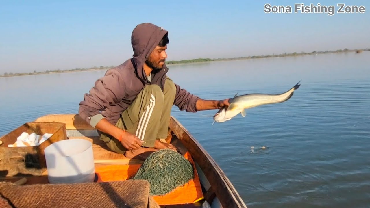 कमाल की हुक फिशिंग! देखिए कैसे फंसी बहुत सारी लाछी मछली । Lachi Fish Hunting 🐟😱