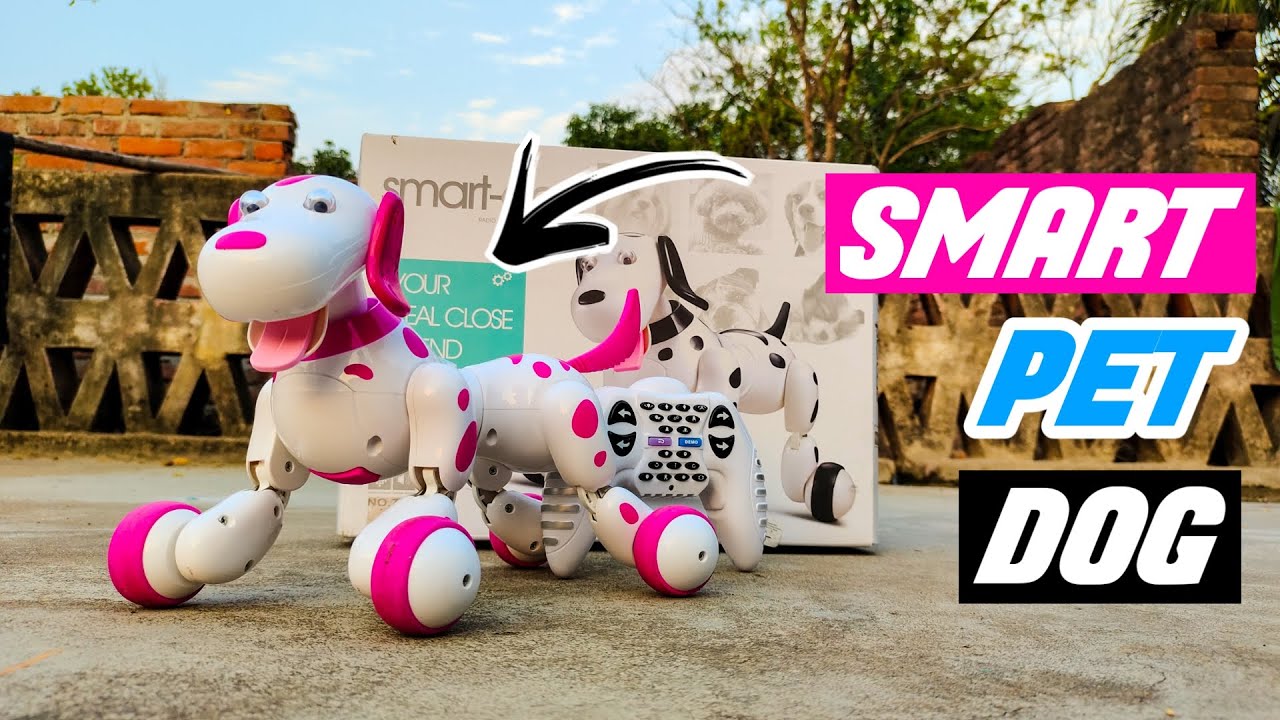 Remote Control Smart Robot Dog Unboxing & Testing | Smart Dog RC Toy | RC Toys On Amazon