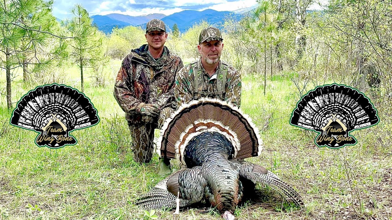 We Almost Let Him Get Away  - Washington State Public Land Turkey Hunt