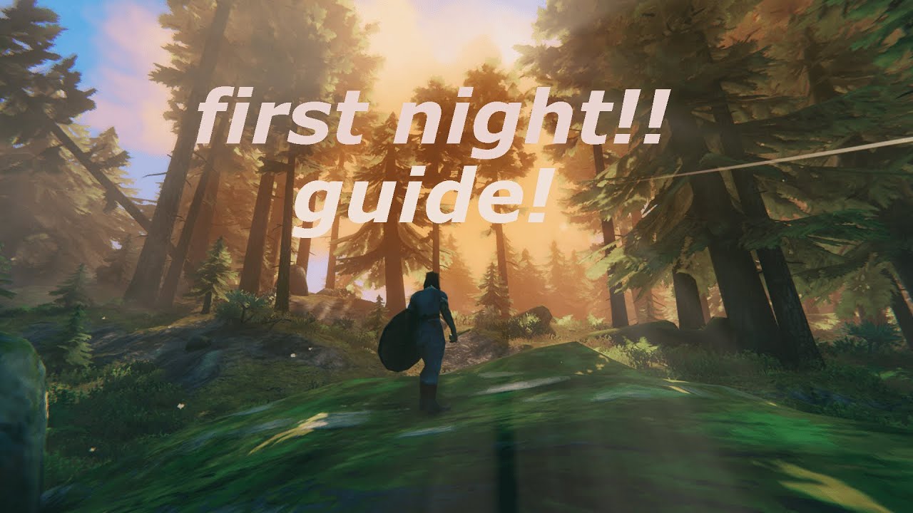 Full Beginners Guide to Valheim! (surviving your first night)
