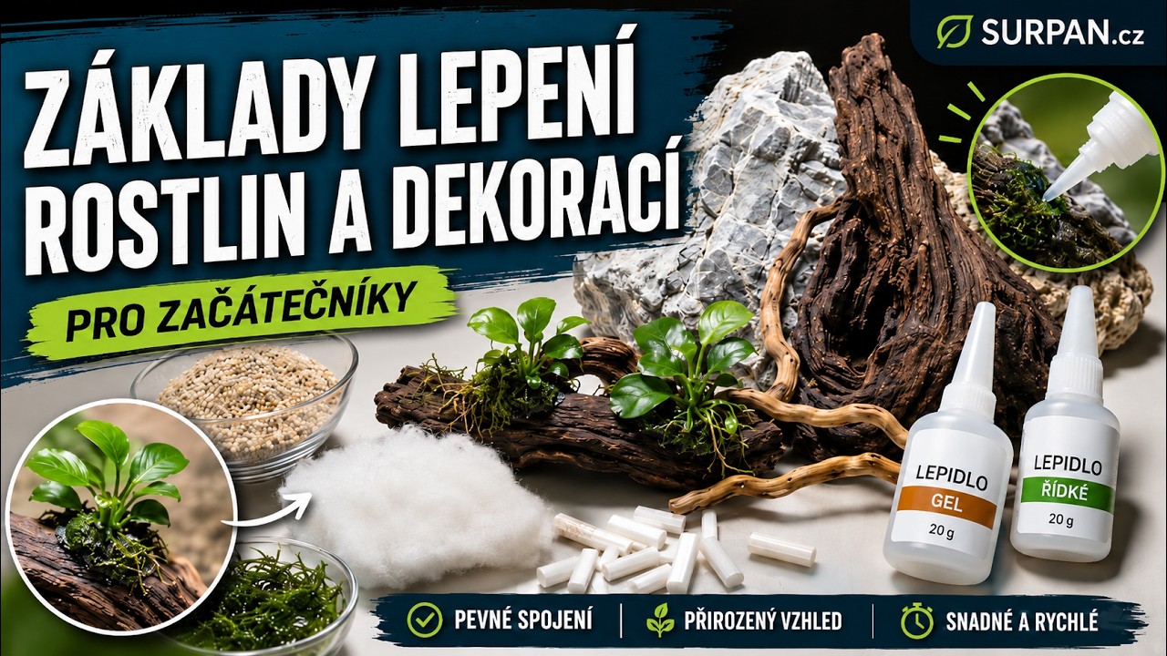 Základy lepení rostlin a přírodních dekorací | SURPAN.cz