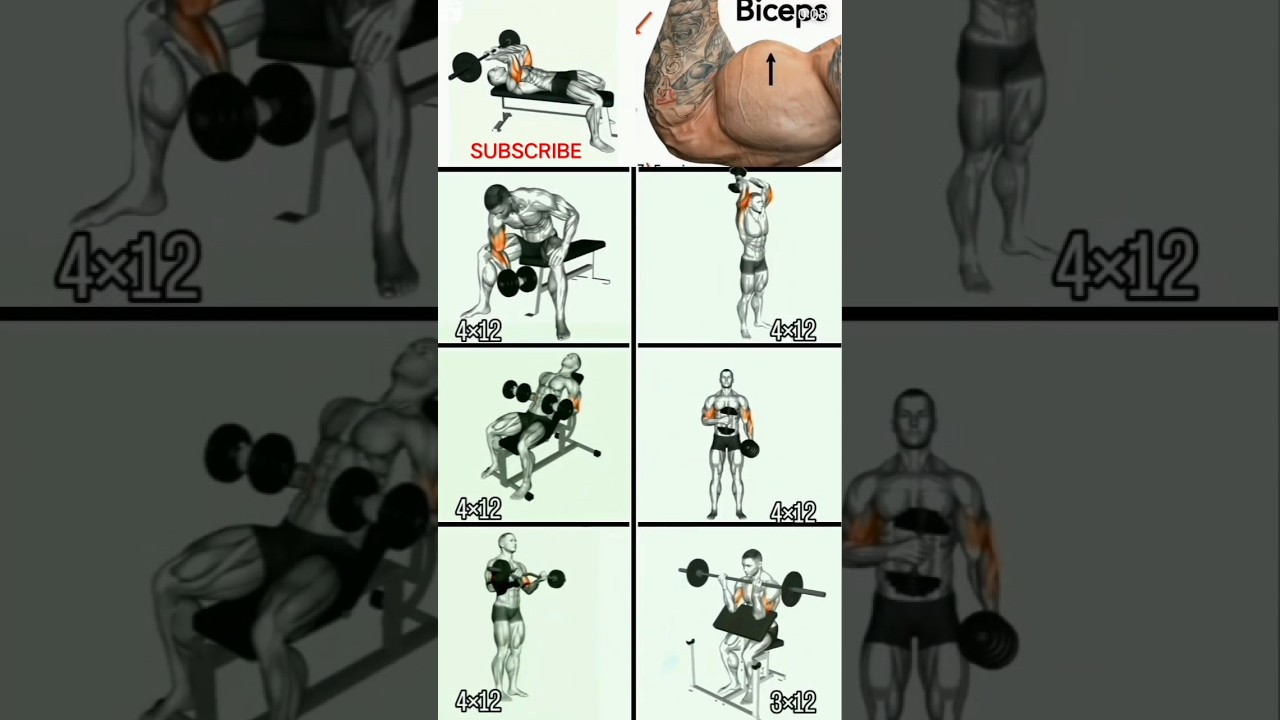 Biseps workout || Fit Vikas #shorts #fitness #1k